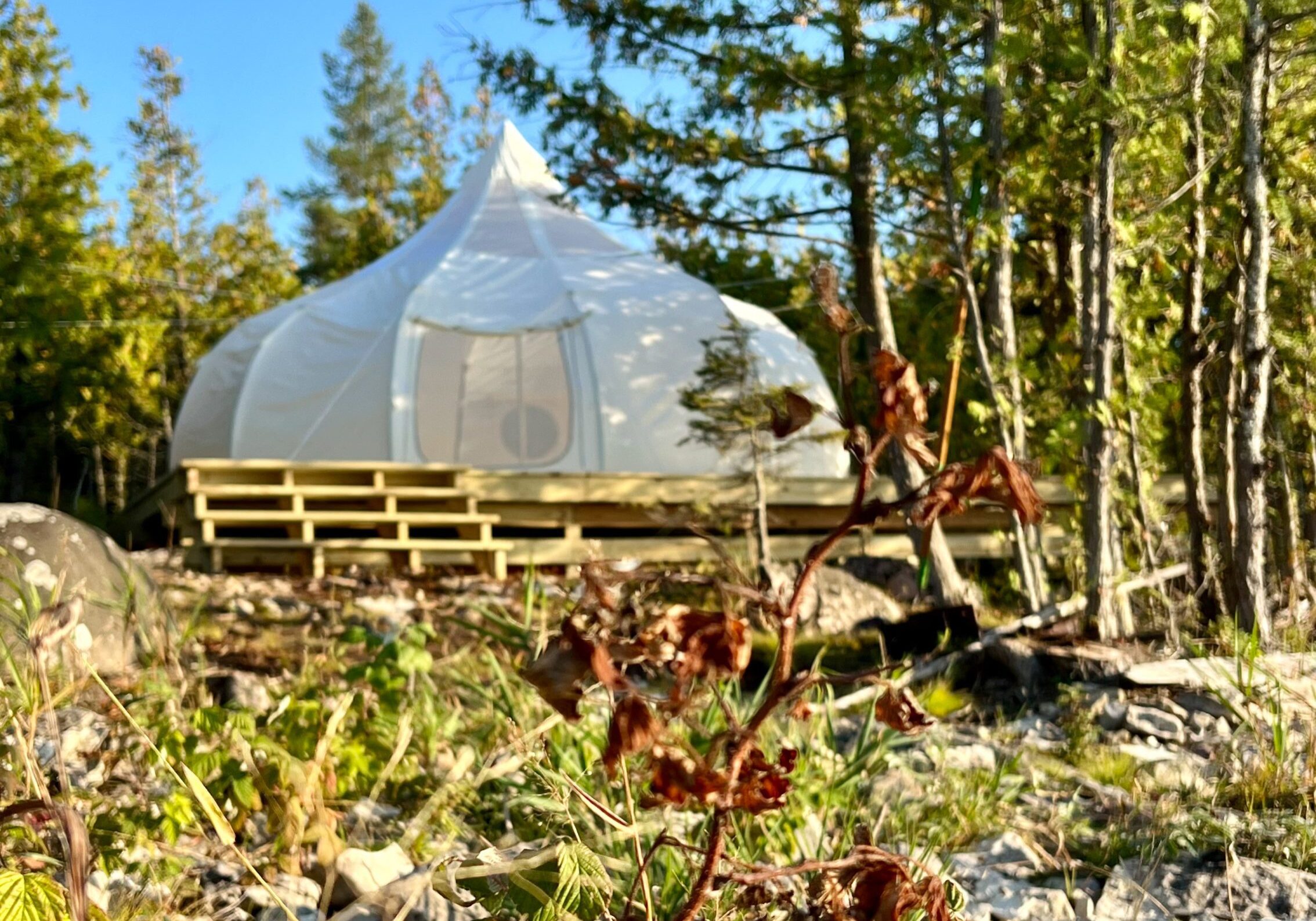 Best Glamping in Northern Michigan